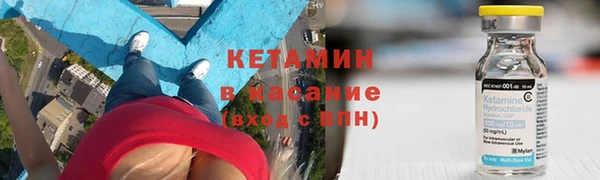 крисы Аркадак