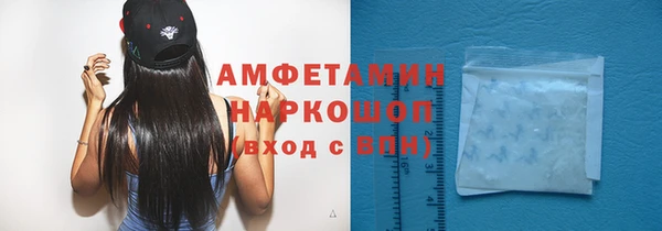 крисы Аркадак