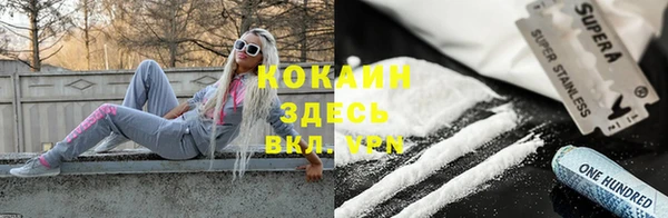 крисы Аркадак