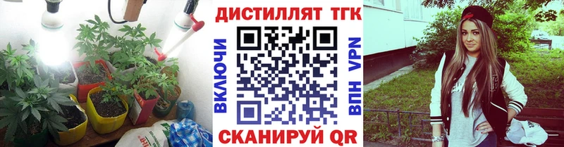 где найти наркотики  Талица  Дистиллят ТГК THC oil 